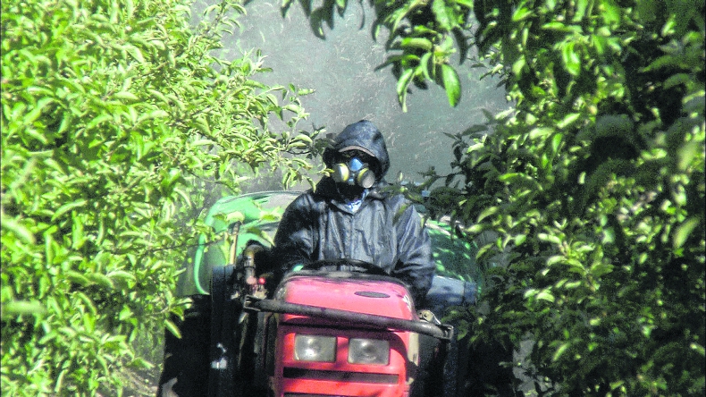 INCA lança documento e promove debate sobre os malefícios dos agrotóxicos