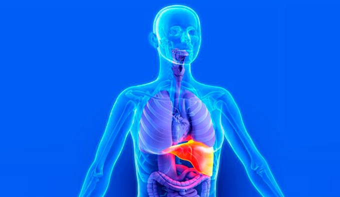 Hospital Israelita Albert Einstein apresenta novo tratamento minimamente invasivo para câncer no fígado