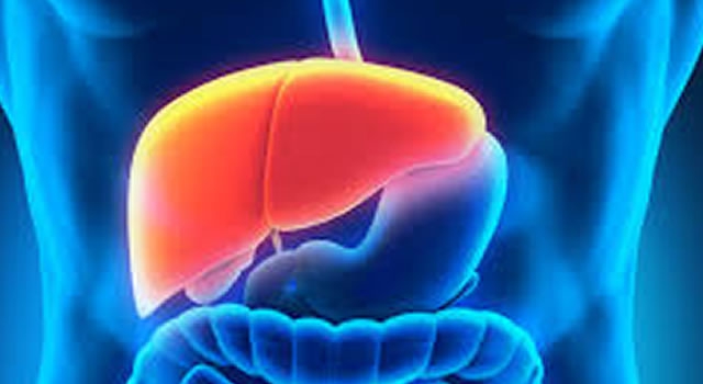 Descobertas mutações em câncer de fígado que podem ajudar em novo tratamento