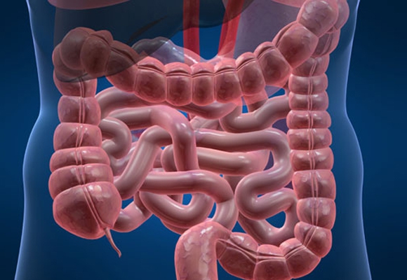 Cápsula endoscópica investiga câncer de intestino